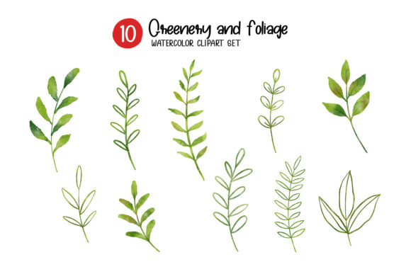 Download Greenery and Foliage Watercolor Set. - Watercolor Collection