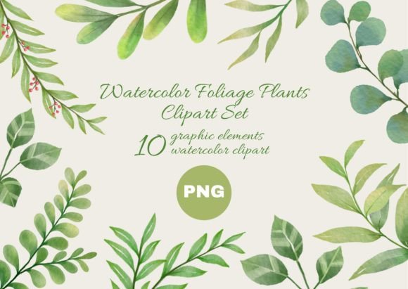 Download Watercolor Foliage Plants Clipart Set - Watercolor Collection