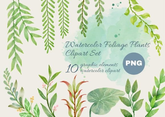 Download Watercolor Foliage Plants Clipart Set - Watercolor Collection